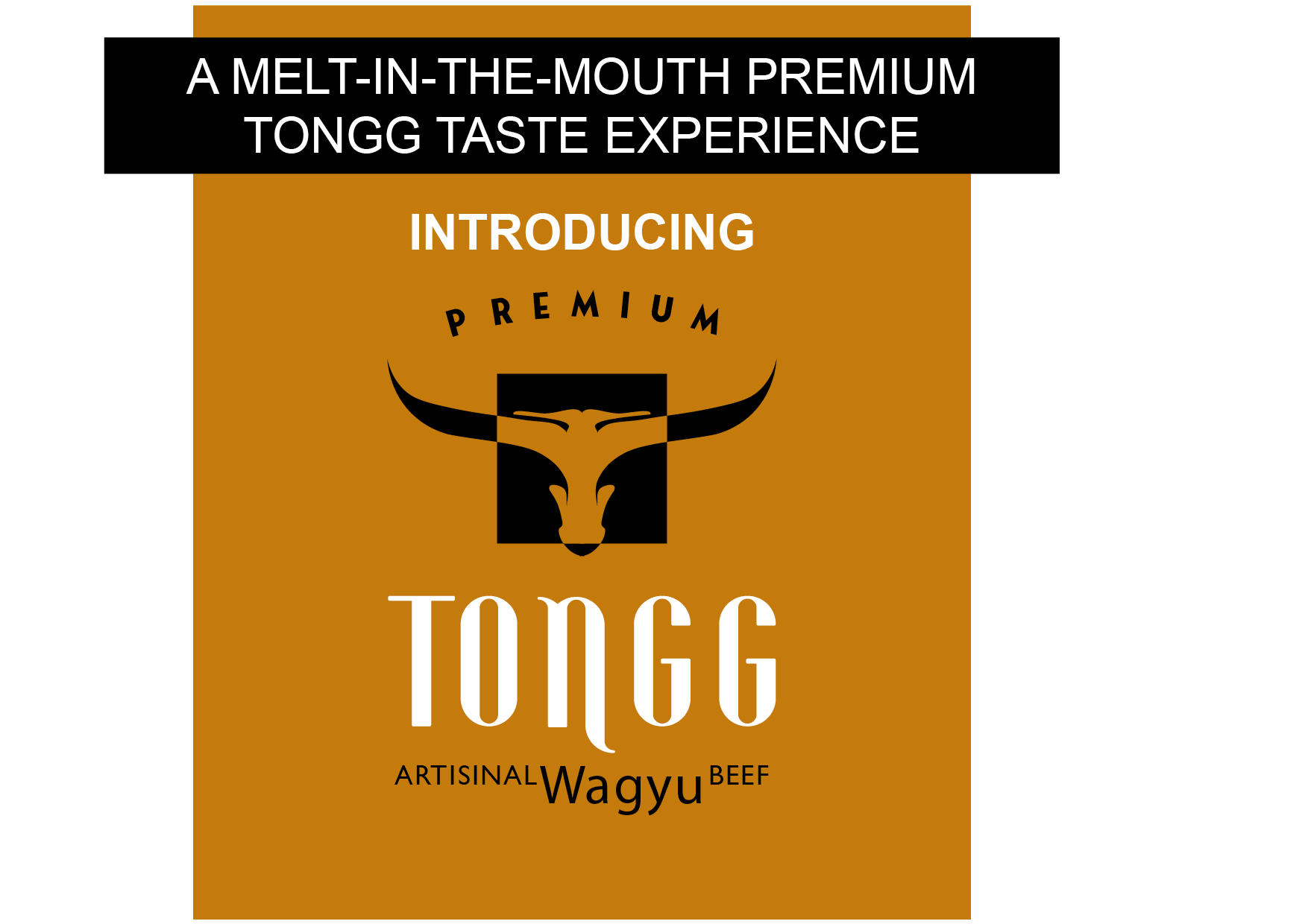 BRETT TONGG WAGYU WEB ELEMENTS